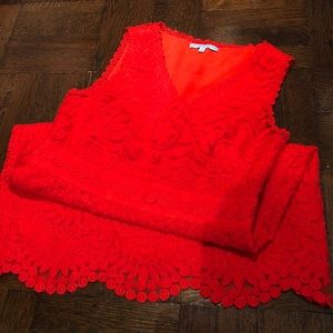 Lace Antonio Melani Cocktail Dress